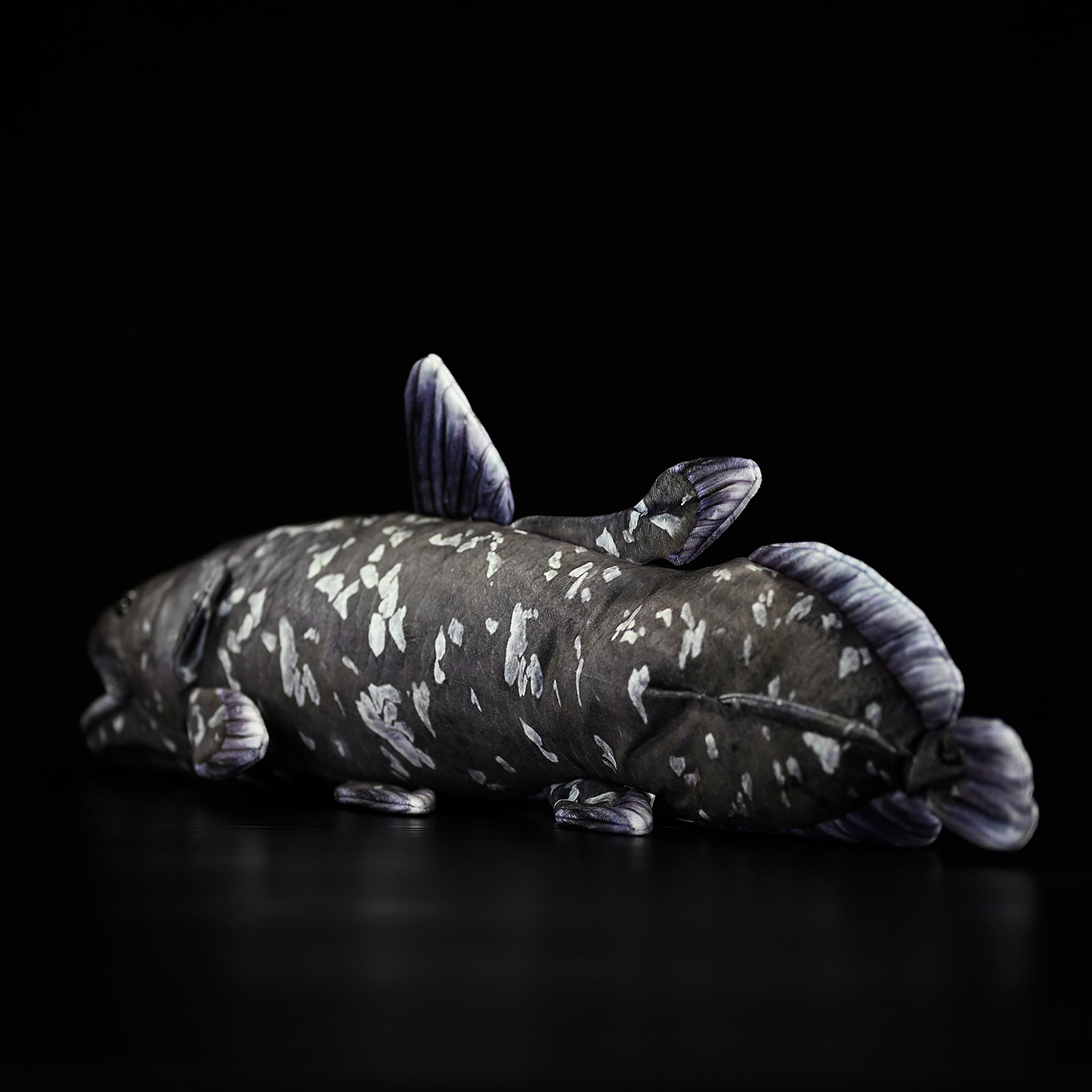 A Cute Plush Toy Made Of Printed Coelacanth Stuffed Fish