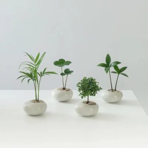 Creative Mini Thumb Ceramic Flower Pot