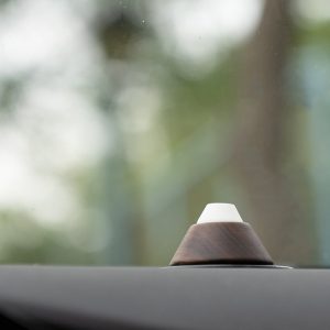 Solid Wood Expansion Fragrant Wood Car Decoration Car Interior Car