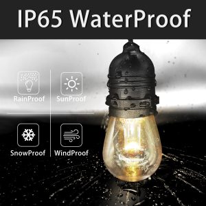 Outdoor Waterproof RGB Solar Lights Plugged Directly For Courtyard Garden