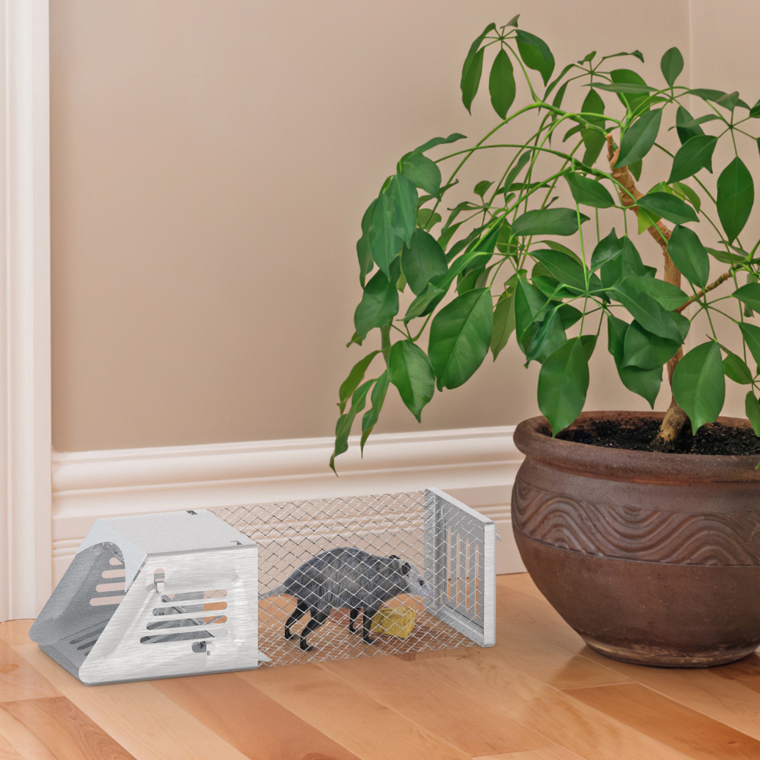 2Pcs Humane Mouse Trap Cage No Assembly Need Automatic Continuous Rat Trap With Single Way Door Reusable Catch And Release Live Cage Trap For Rodents Moles Voles Mice