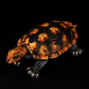 Cute And Realistic Japanese Stone Turtle Plush Toy