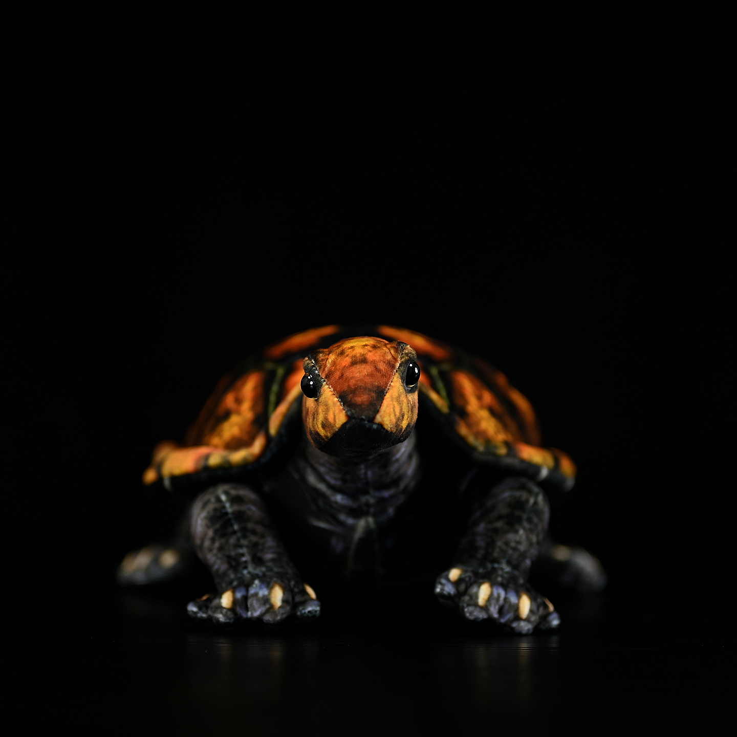 Cute And Realistic Japanese Stone Turtle Plush Toy