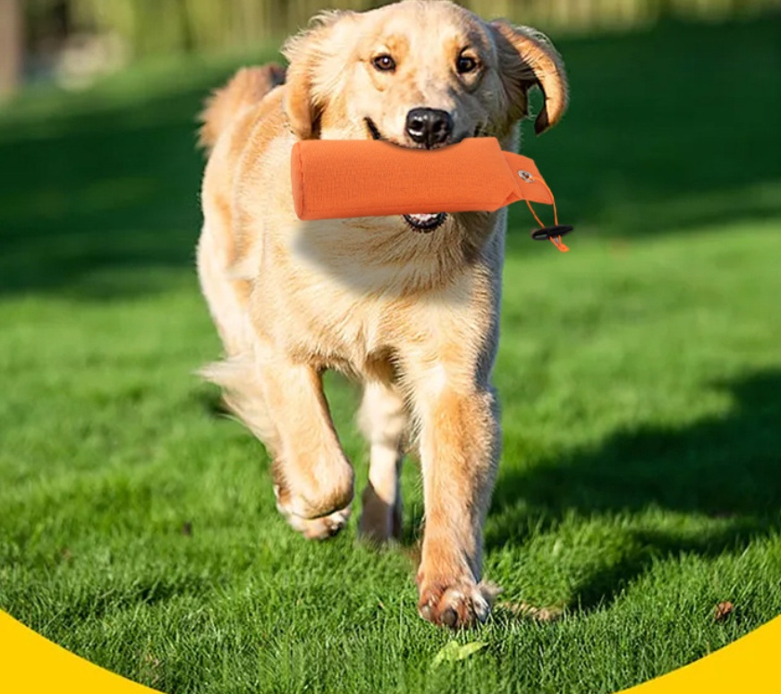 Fashion Personalized Decompression Dog Toy Supplies