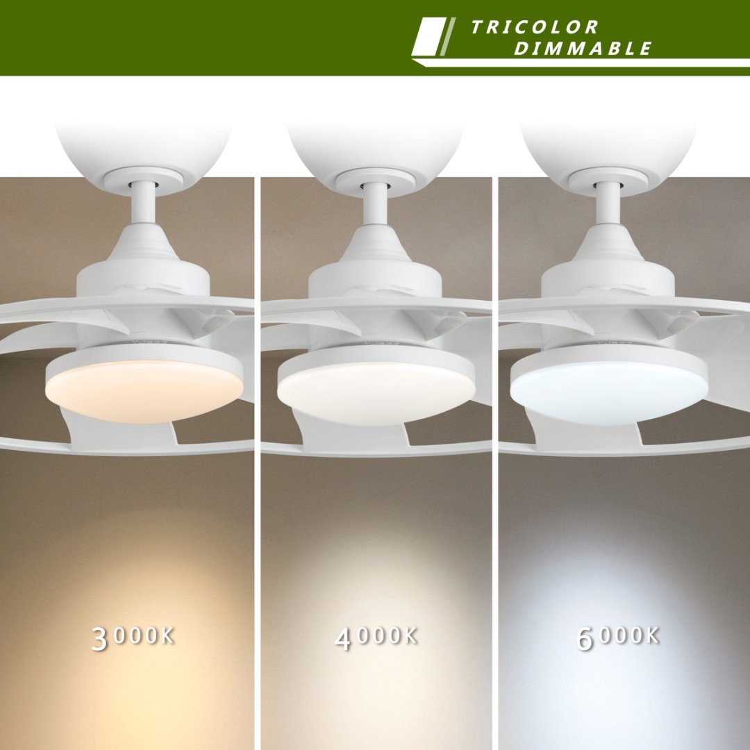 Light Pro 22 In. LED Indoor Matt White Smart Ceiling Fan With DC Motor