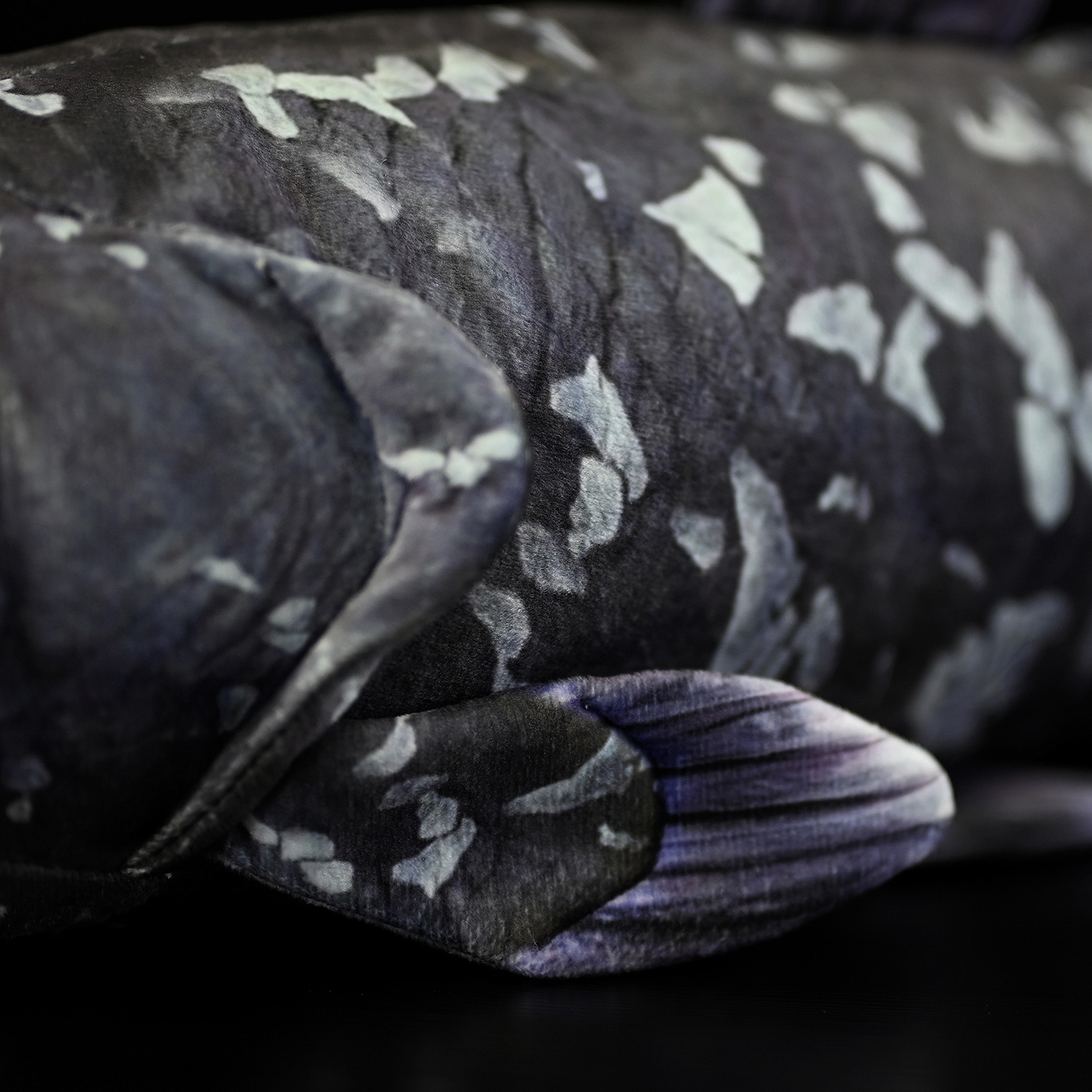A Cute Plush Toy Made Of Printed Coelacanth Stuffed Fish