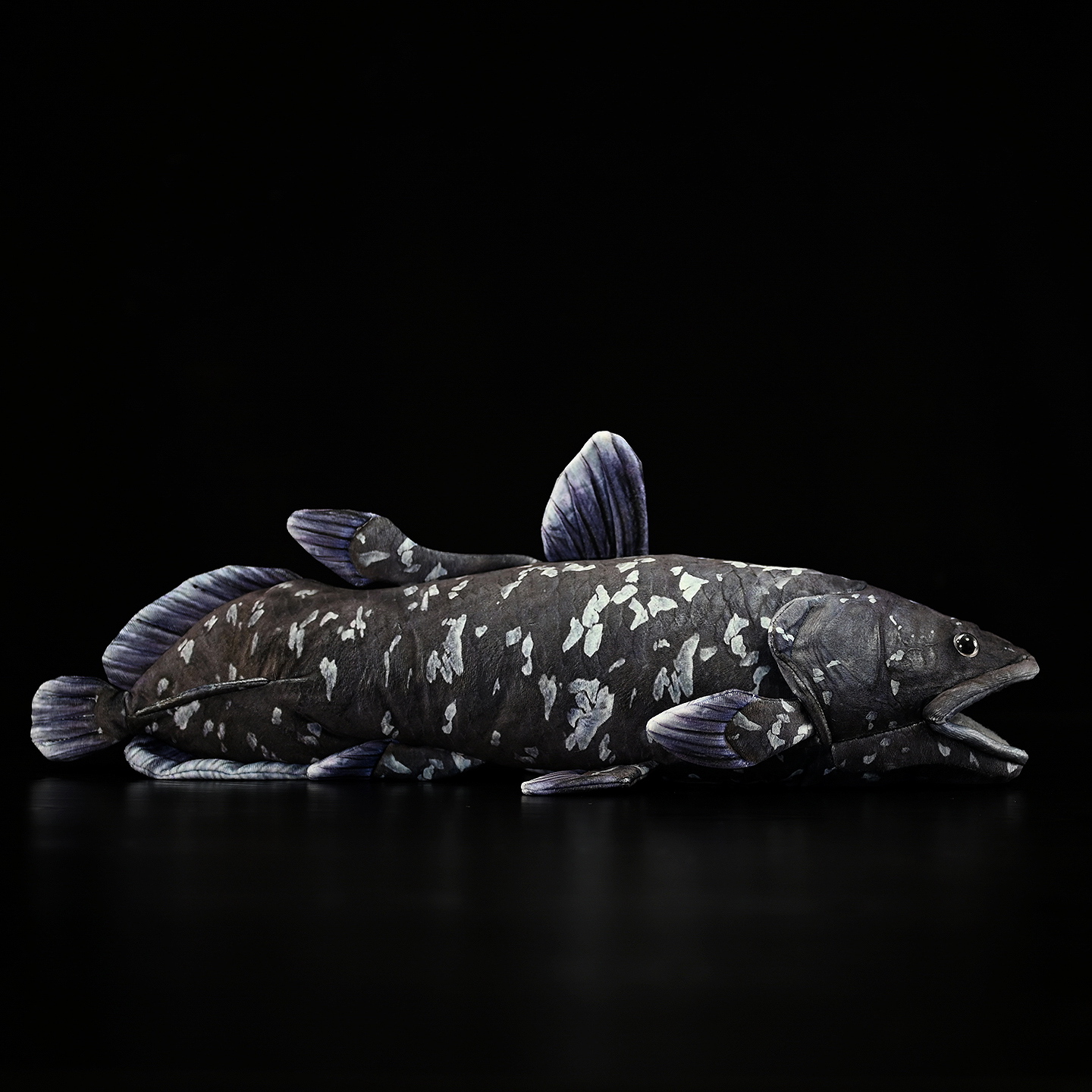 A Cute Plush Toy Made Of Printed Coelacanth Stuffed Fish