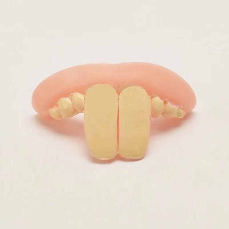 Rabbit Tooth Corgi Whole Toy Funny Funny False Teeth Set