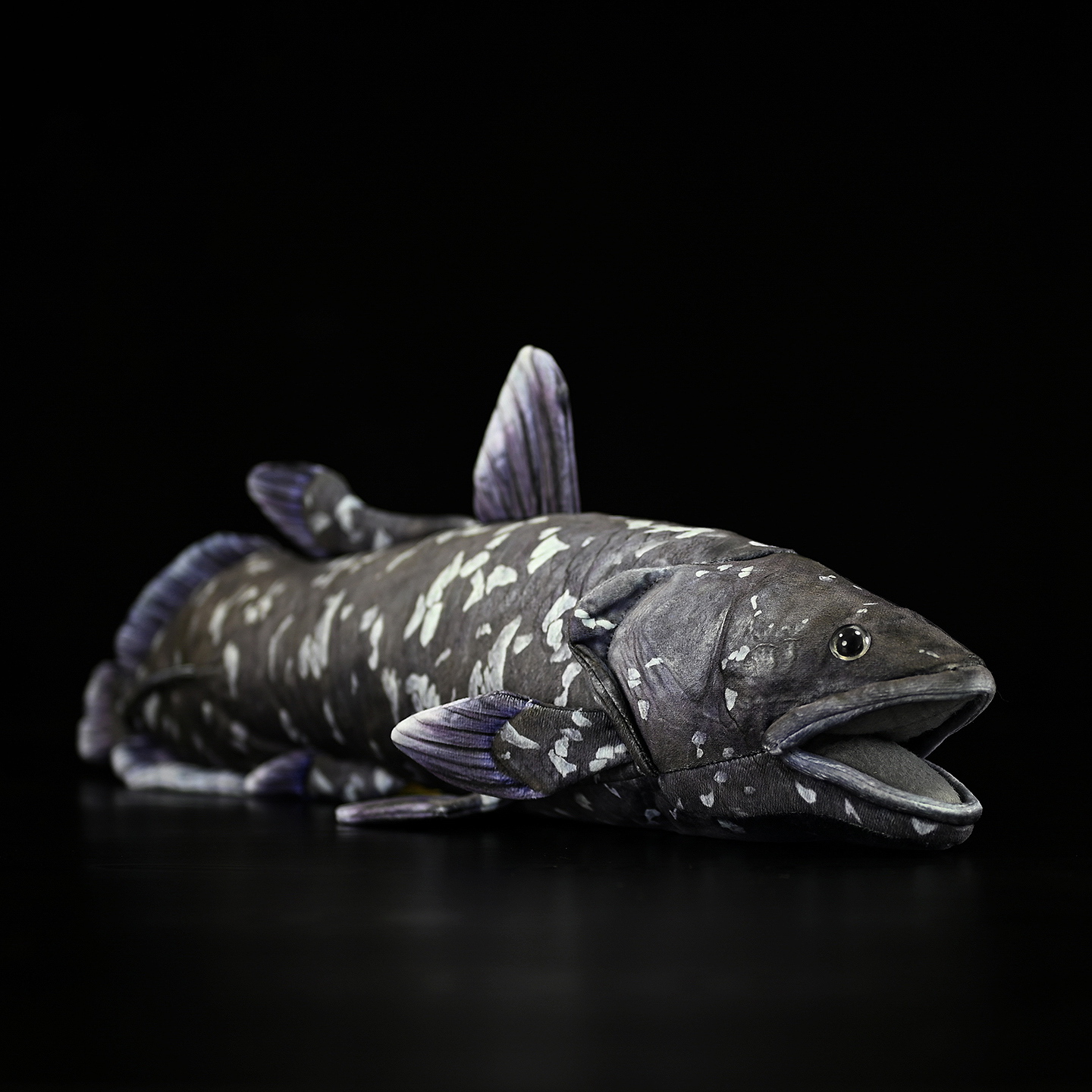 A Cute Plush Toy Made Of Printed Coelacanth Stuffed Fish