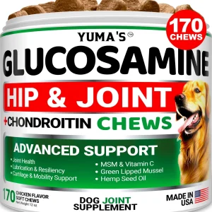 Do Not Sell On Amazon Glucosamine For Dogs Hip And Joint Supplement For Dogs 170 Ct Glucosamine Chondroitin For Dogs Chews Dog Joint Pain Relief With MSM Advanced Dog Joint Supplement Health