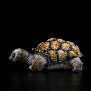 Cute And Realistic Elephant Turtle Galapagos Tortoise Plush Toy