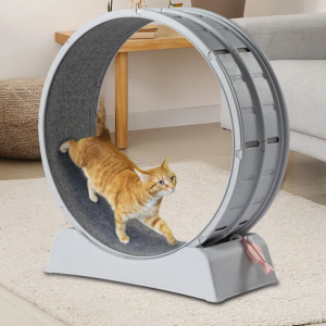 Cat Exercise Wheel, 31 Inch Cat Wheels For Indoor Cats, Cat Treadmill Wheel Exerciser With Carpeted Runway