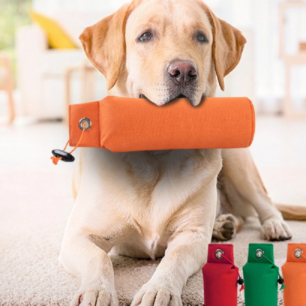 Fashion Personalized Decompression Dog Toy Supplies