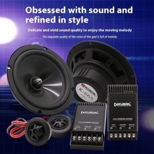 Car Audio Modification Front Door Speaker