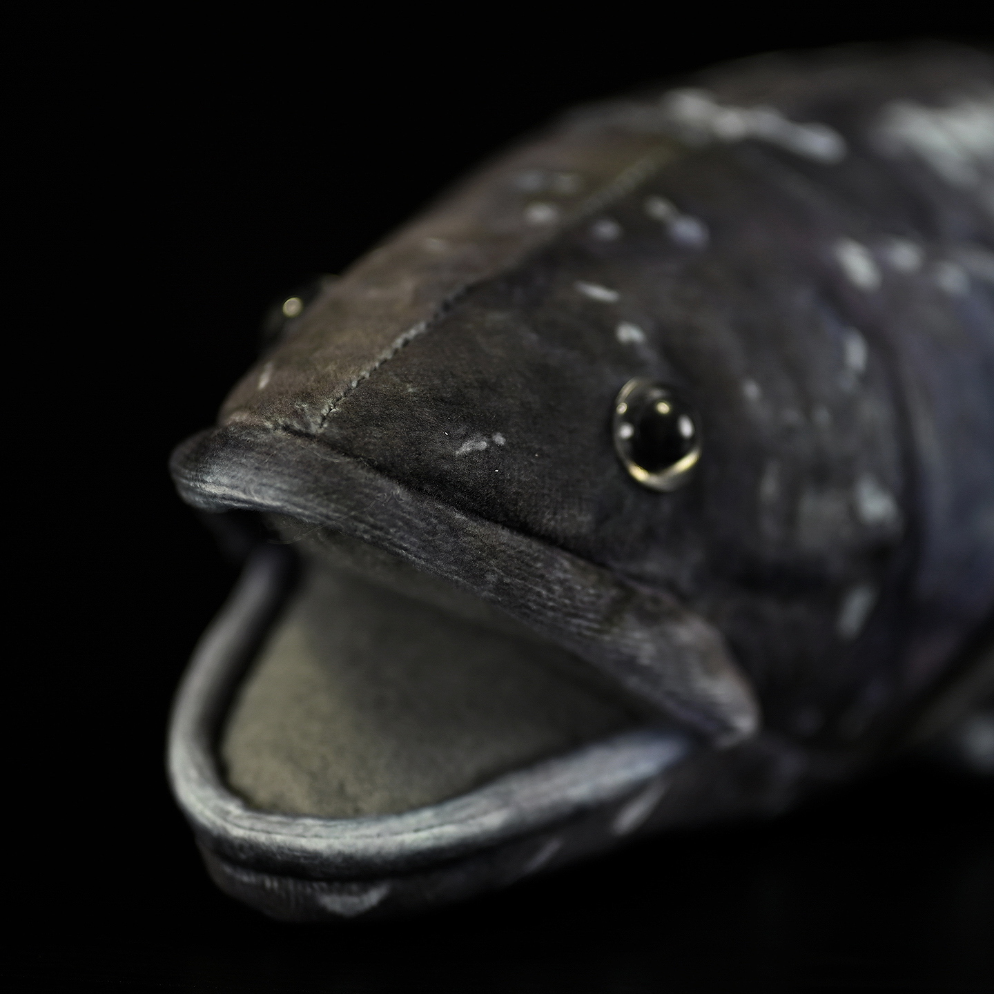 A Cute Plush Toy Made Of Printed Coelacanth Stuffed Fish