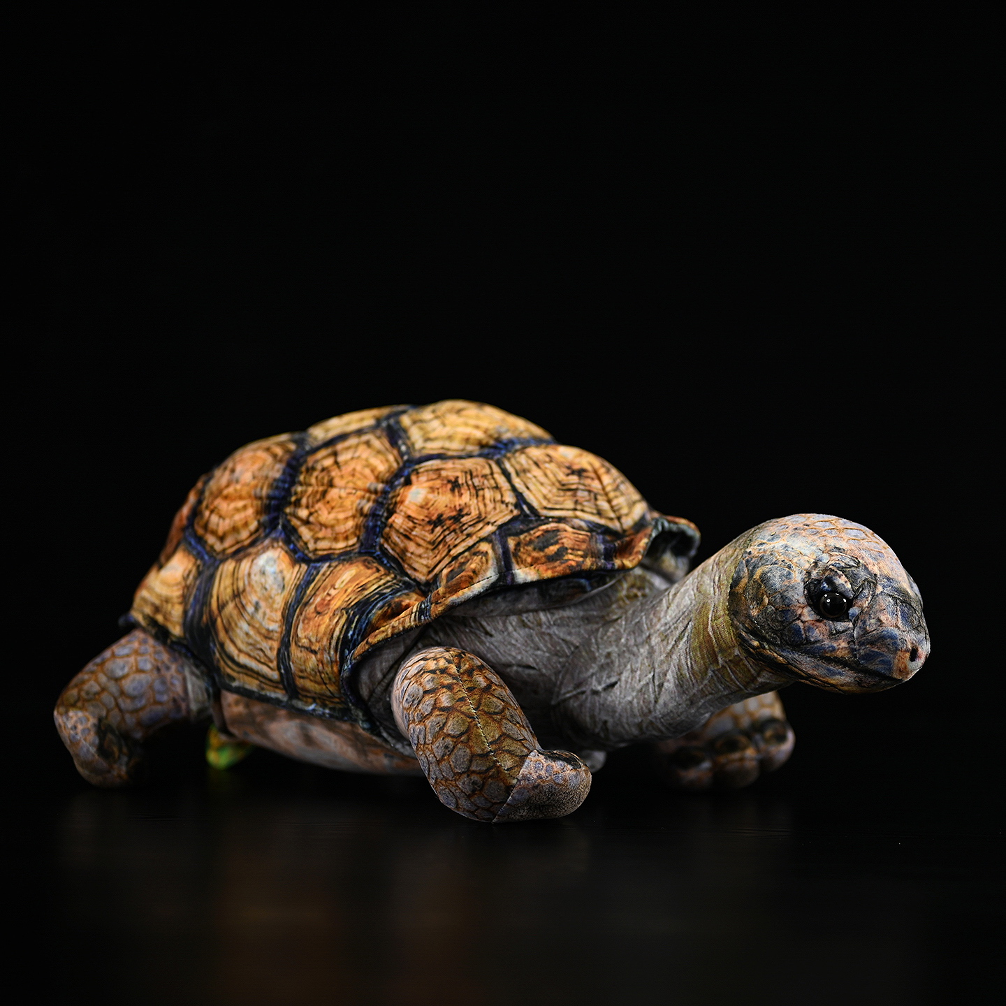 Cute And Realistic Elephant Turtle Galapagos Tortoise Plush Toy