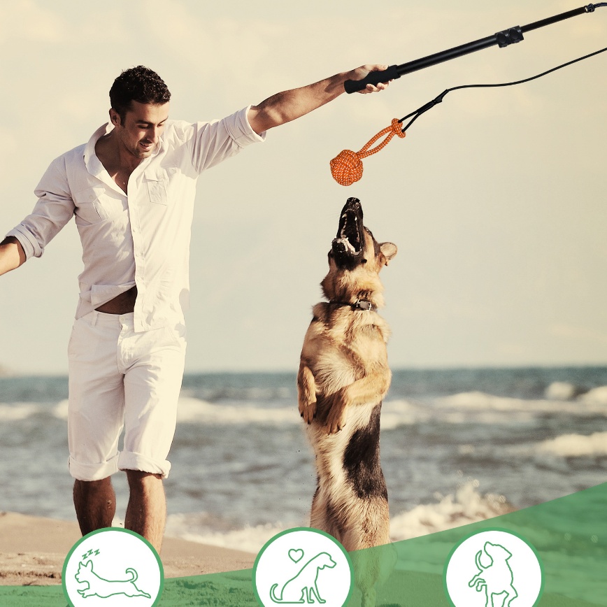 Telescopic Funny Dog Stick Cat Teaser Pet Training Rod