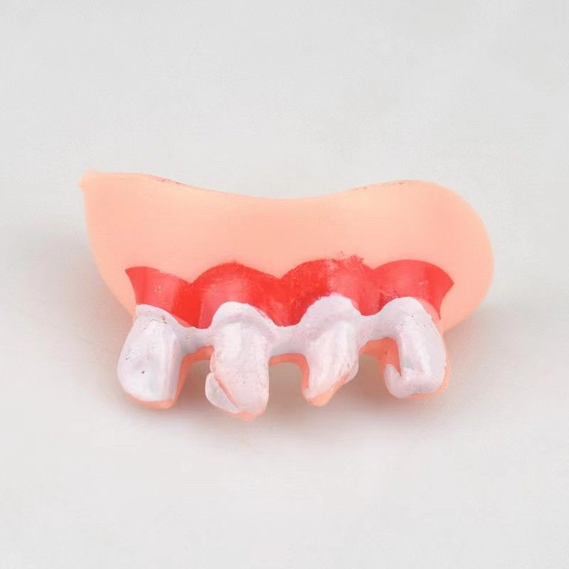 Rabbit Tooth Corgi Whole Toy Funny Funny False Teeth Set